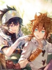 雏鸟app官方网站
